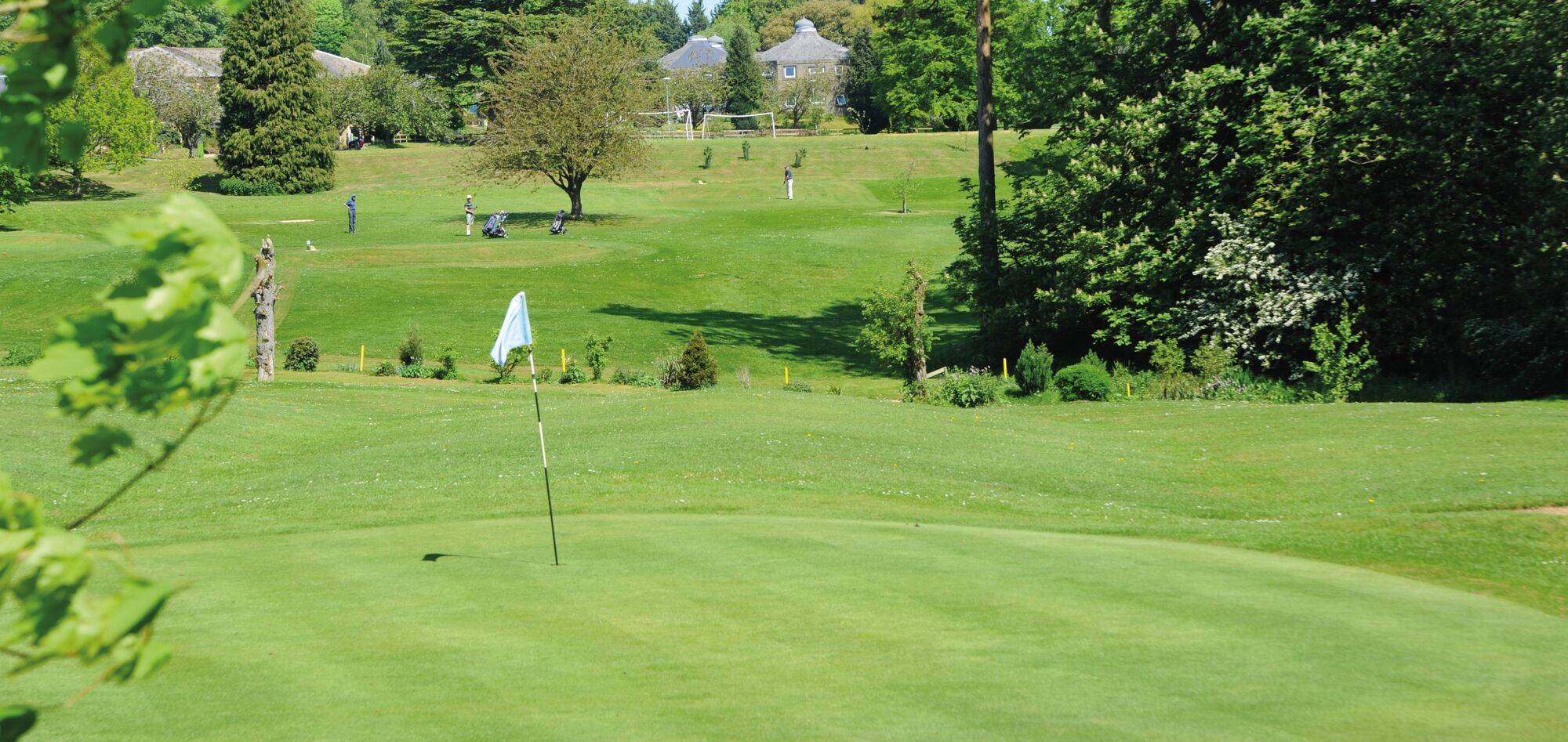 Star Golf